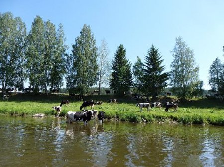 Водной тропой по реке Чусовой