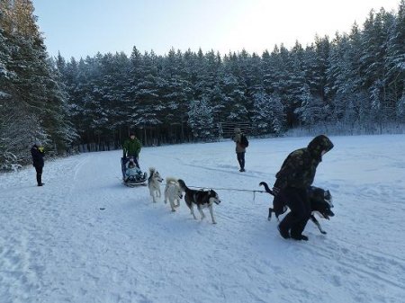 ���������� ���� � �������� �� ������ "������ ���".