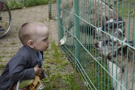 Встреча друзей на турбазе "Чусовая" Встреча друзей на турбазе "Чусовая"