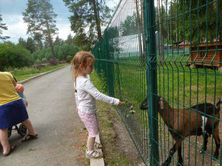 По волнам памяти По волнам памяти